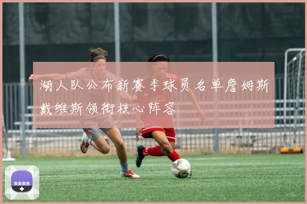 湖人队公布新赛季球员名单詹姆斯戴维斯领衔核心阵容