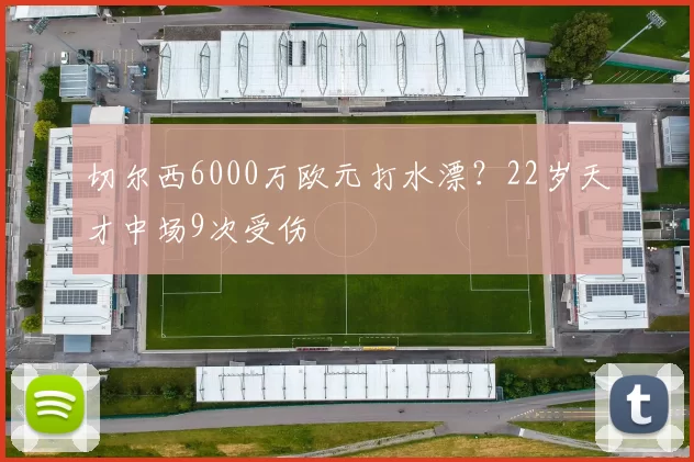 切尔西6000万欧元打水漂？22岁天才中场9次受伤
