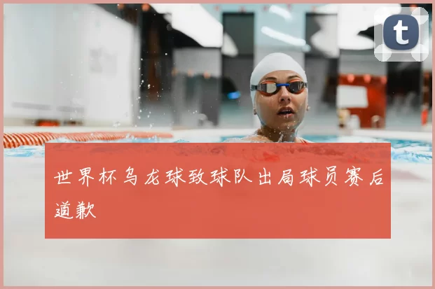 世界杯乌龙球致球队出局球员赛后道歉