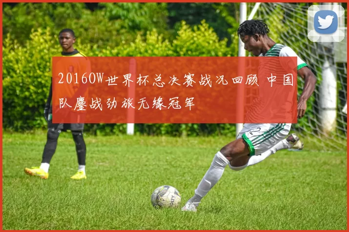 2016OW世界杯总决赛战况回顾 中国队鏖战劲旅无缘冠军