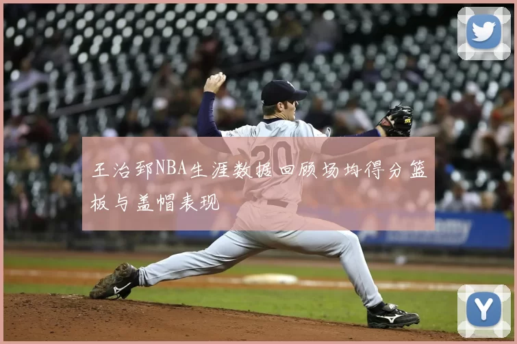 王治郅NBA生涯数据回顾场均得分篮板与盖帽表现