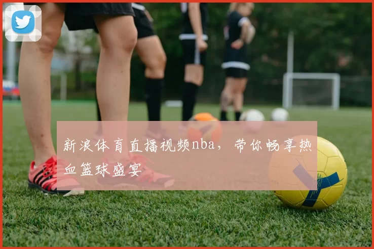 新浪体育直播视频nba，带你畅享热血篮球盛宴
