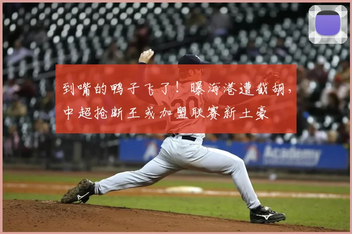 到嘴的鸭子飞了！曝海港遭截胡，中超抢断王或加盟联赛新土豪