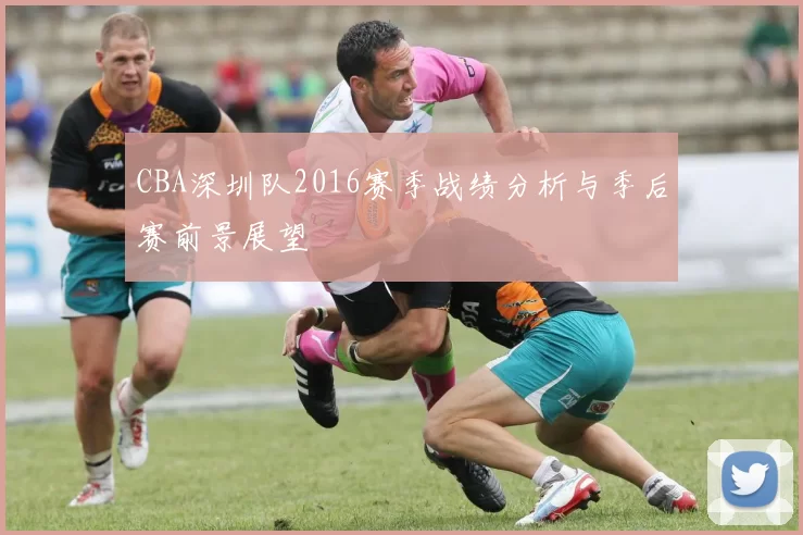 CBA深圳队2016赛季战绩分析与季后赛前景展望